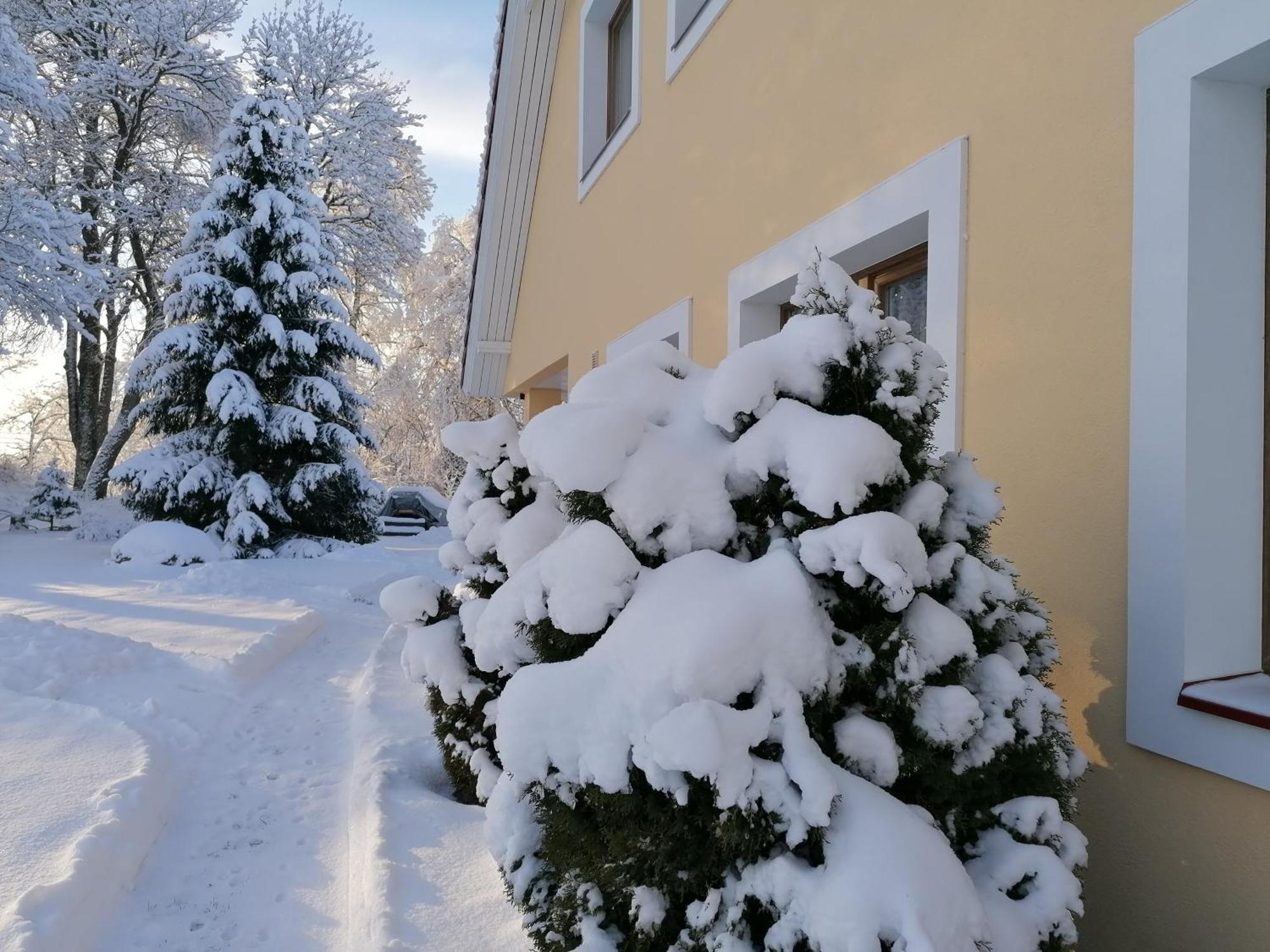 Villa River Rose Jõesuu Exterior foto